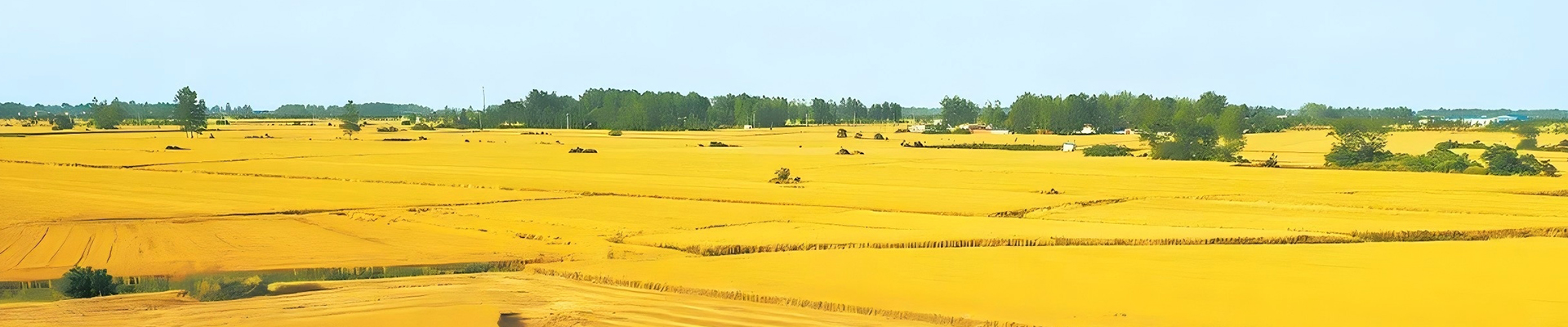 糧食烘干及倉(cāng)儲(chǔ)設(shè)備